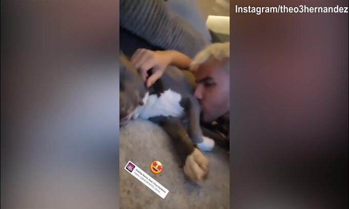 Theo Hernandez, il cane lo lecca senza tregua