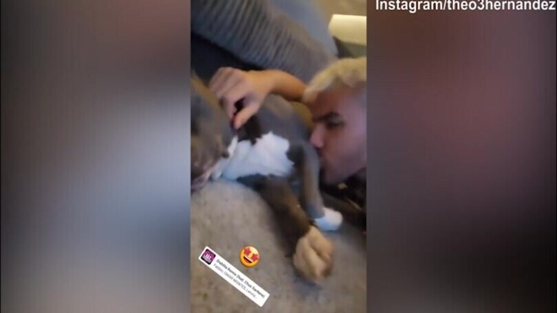 Theo Hernandez, il cane lo lecca senza tregua
