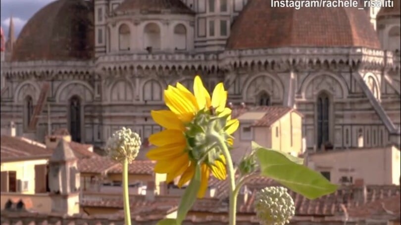 Castrovilli, la proposta di matrimonio è romantica