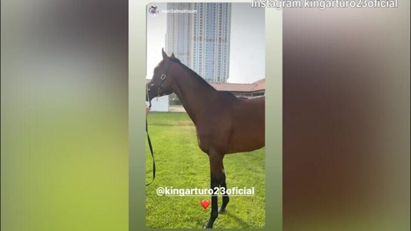 Vidal a Dubai insieme allo sceicco