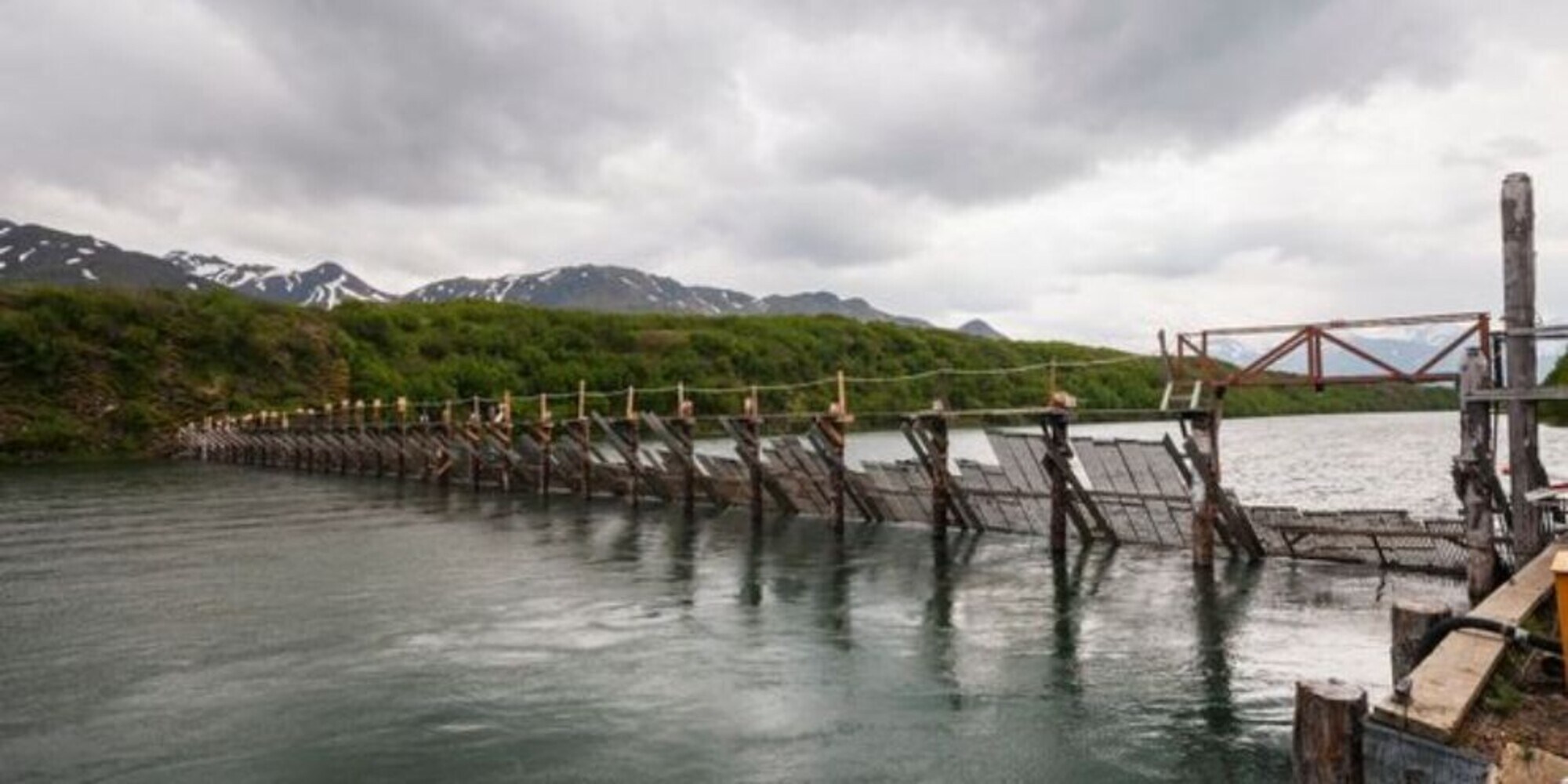 Alaska, terremoto di magnitudo 8.2: allarme tsunami