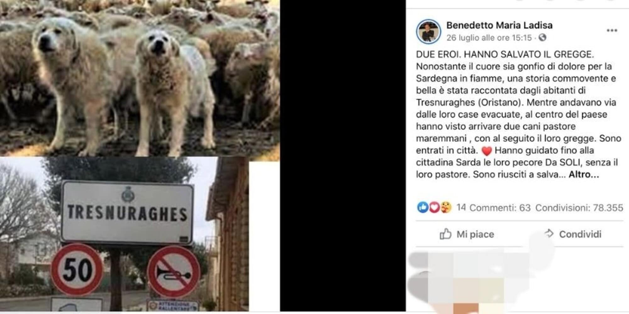 Rogo Oristanese, due cani pastore salvano il gregge: il post diventa virale