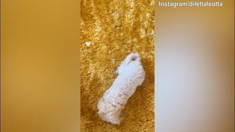 Diletta Leotta, grandi feste dal cane!