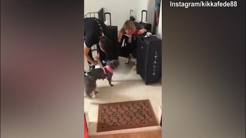 Federica Pellegrini torna a casa: i cani festeggiano!