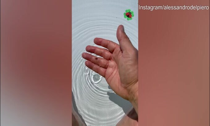 Del Piero, dall'acqua spunta una..coccinella