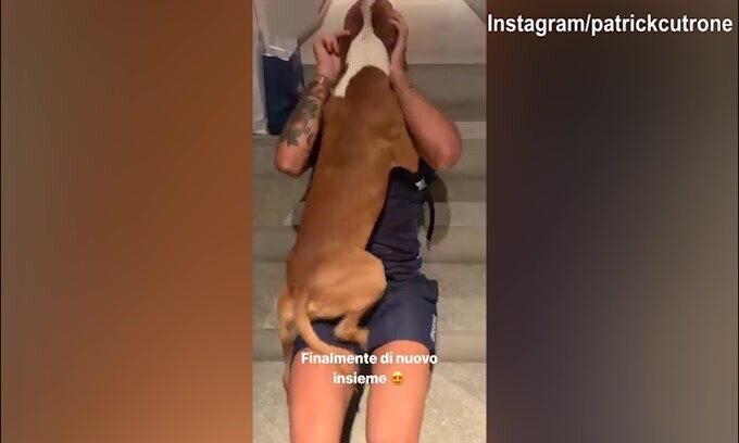 Empoli, Cutrone e l'abbraccio al suo cane