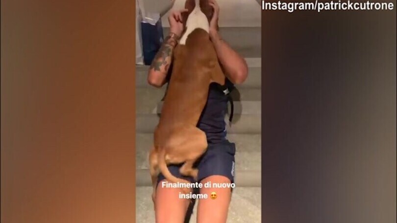 Empoli, Cutrone e l'abbraccio al suo cane