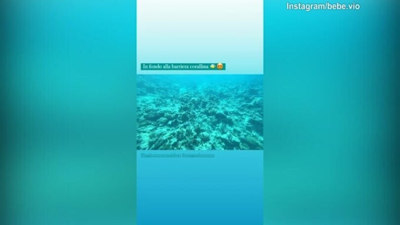 Bebe Vio, che spettacolo la barriera corallina