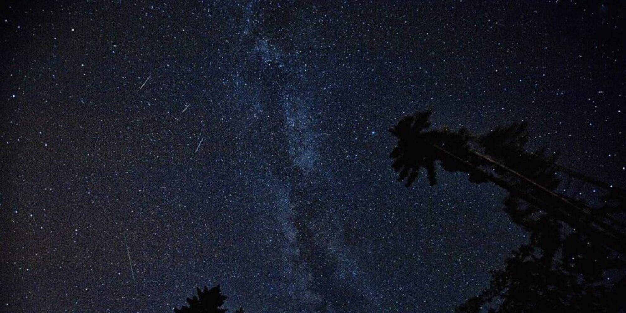 Occhi al cielo: arrivano le stelle cadenti di settembre, ecco quando ci sarà il picco
