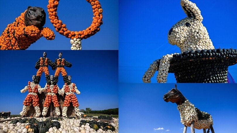 Che show in Germania: le straordinarie sculture... di zucca!