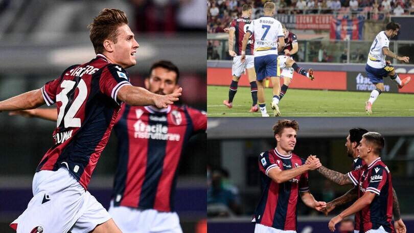 Svanberg trascina il Bologna. Verona ko al Dall'Ara