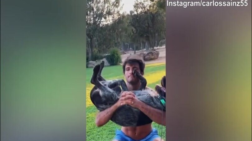 Ferrari, Sainz solleva...il cane!