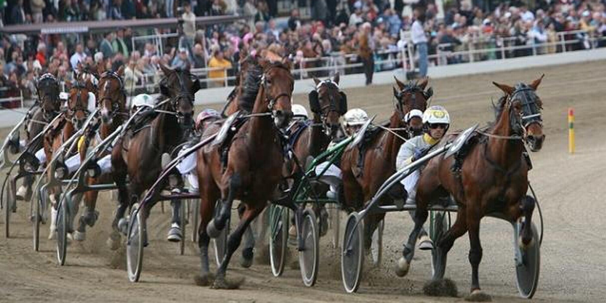 Trotto, a Charmant de Zack il Derby italiano