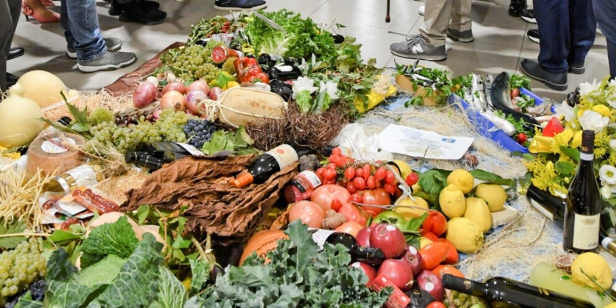 Cambiamenti climatici, effetti devastanti su produzione Made in Italy