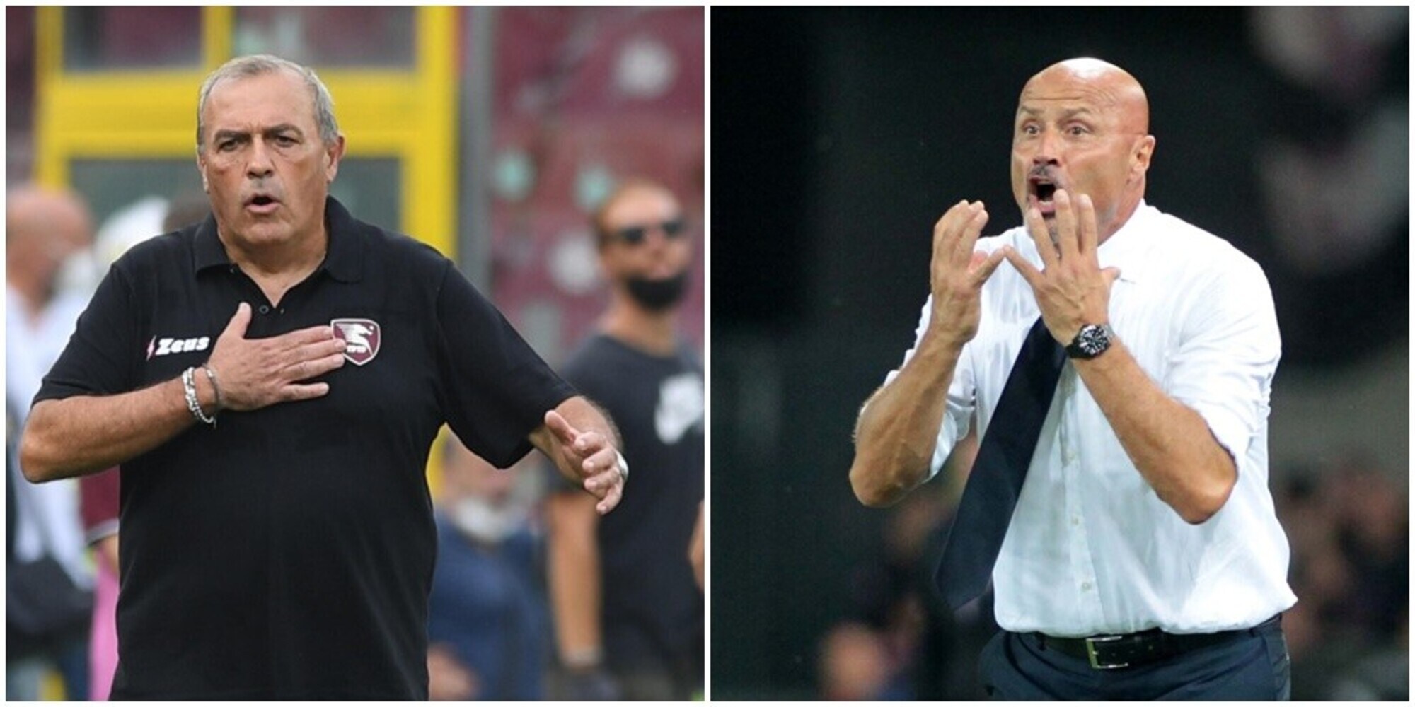Salernitana, Castori esonerato: ufficiale il ritorno di Colantuono