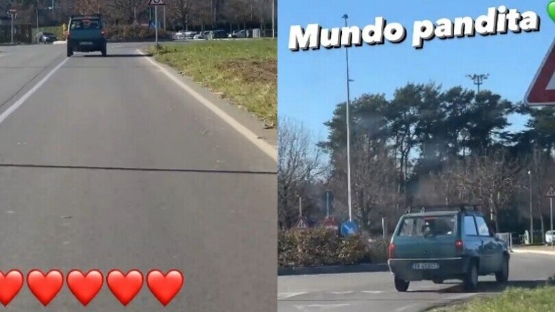 Vidal e la Panda, eterno amore: per il cileno è un..."Mundo Pandita"
