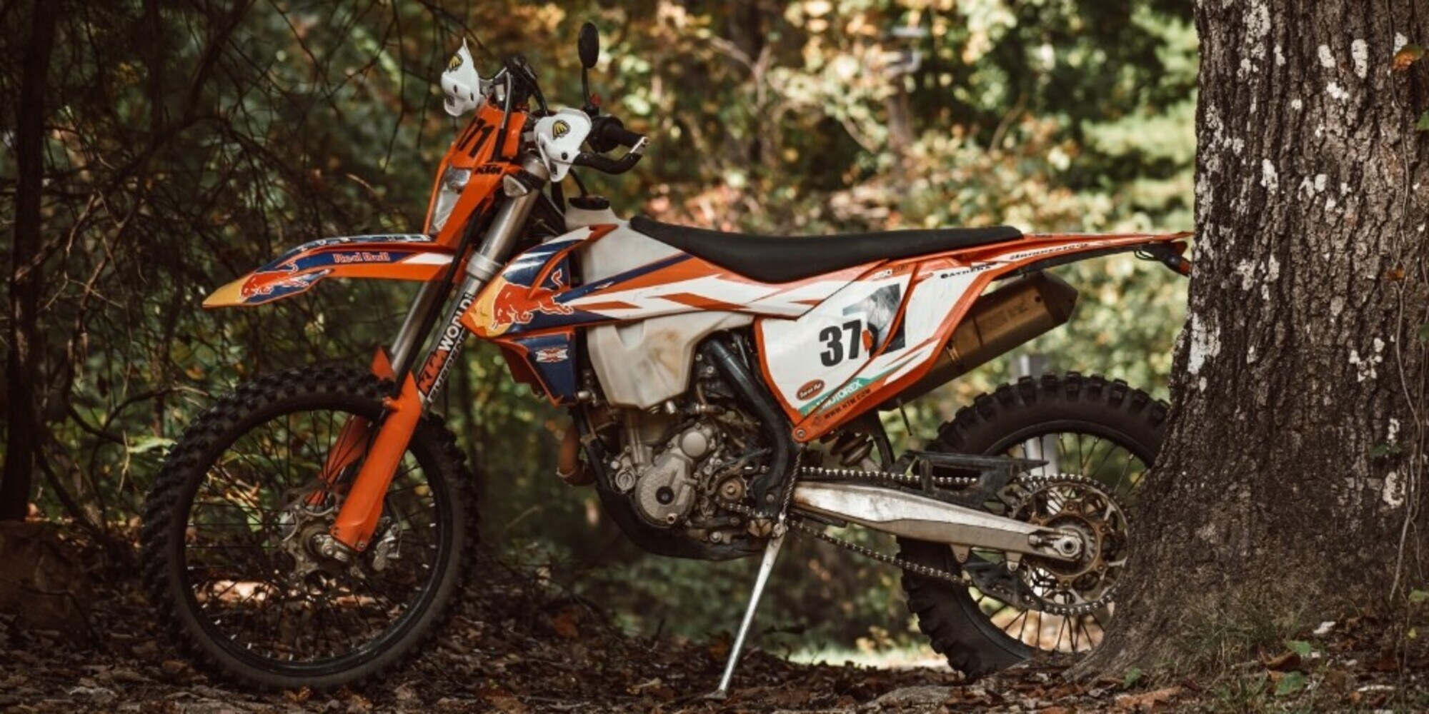 Giro nel bosco finisce male: motociclista giù da un dirupo