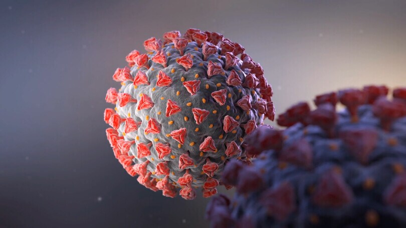 Covid 19 in Gb, Omicron spaventa: Premier League a rischio stop