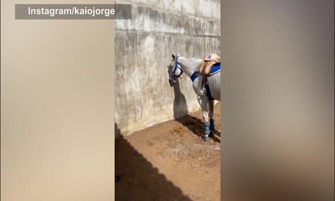 Lunedì a cavallo per Kaio Jorge