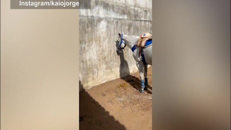 Lunedì a cavallo per Kaio Jorge
