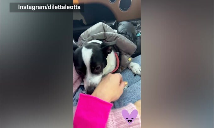 Diletta, tante coccole al cagnolino!