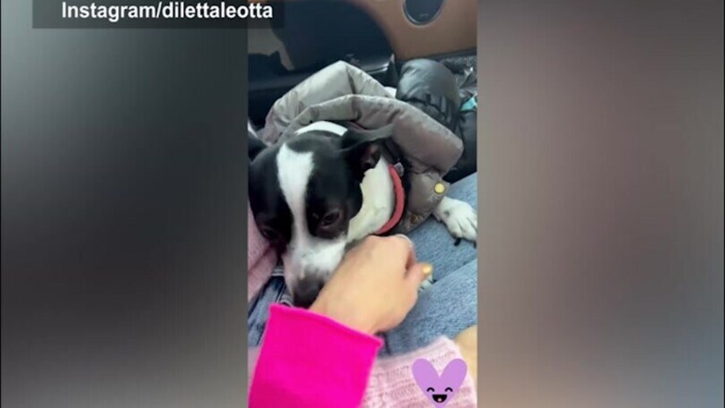 Diletta, tante coccole al cagnolino!