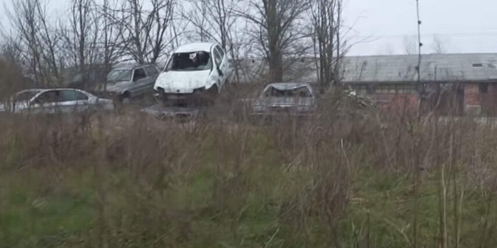 Emilia-Romagna, due meccanici nei guai: nascondevano un "cimitero" di auto abbandonate