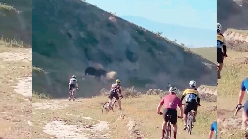 Durante una gita in bici viene attaccato da un toro