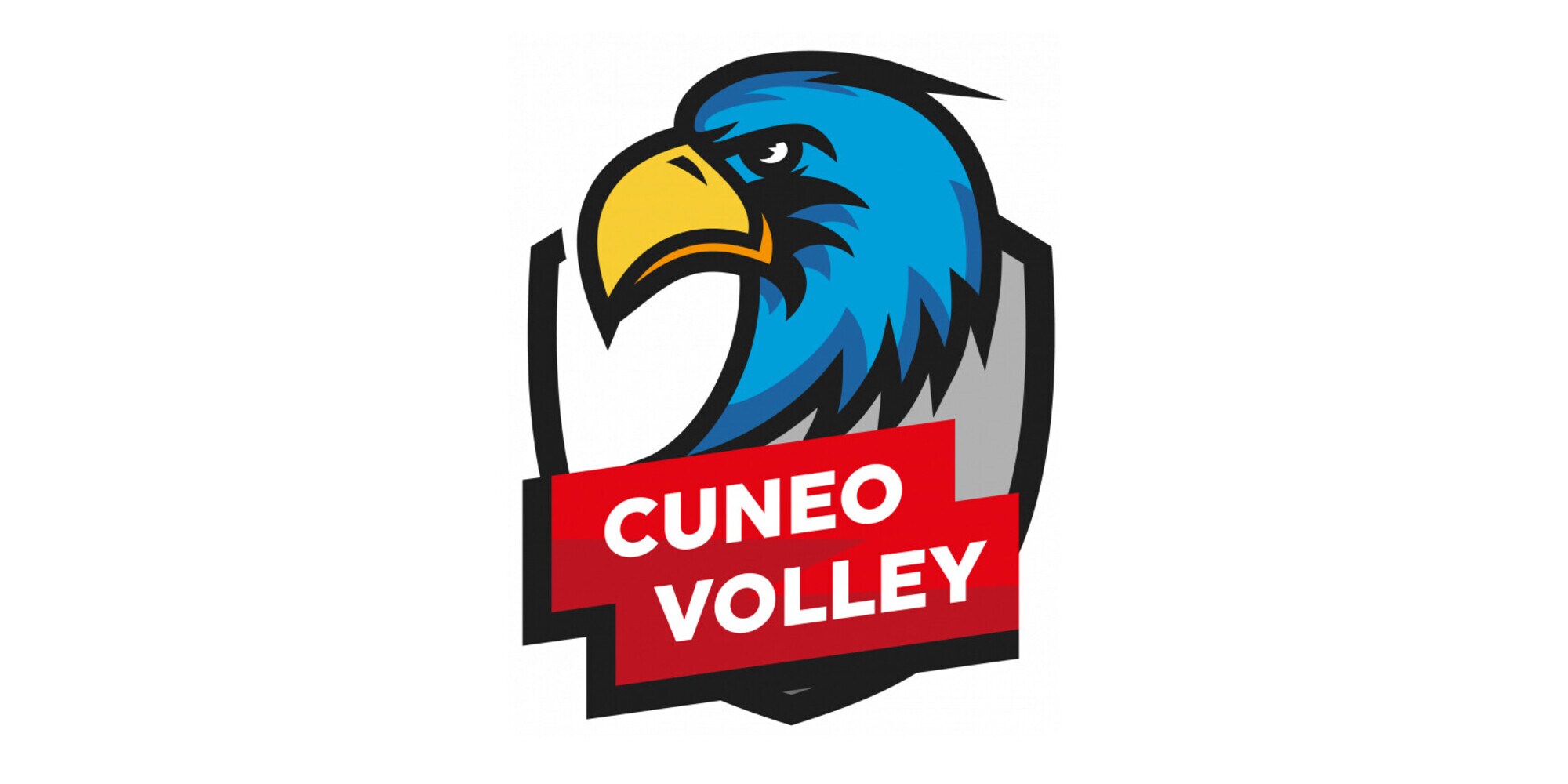 Cuneo Volley, Alessandro Preti è Dottore in Giurisprudenza