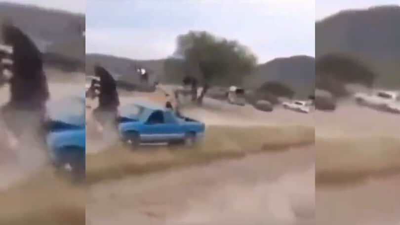 Cavallo va a sbattere contro una macchina