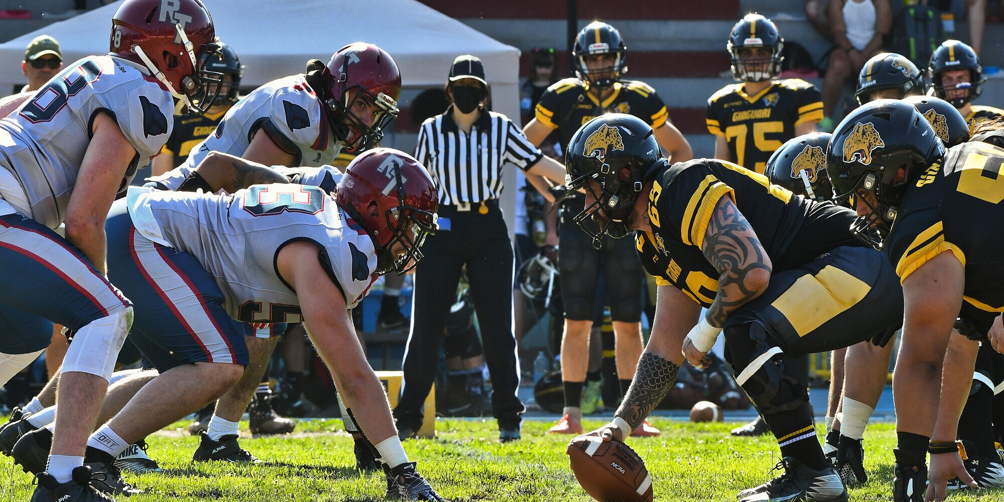 Reapers Torino, si avvicina il derby con i Giaguari