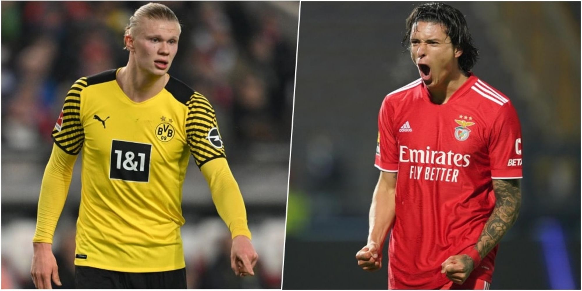 A Bola: "Borussia Dortmund su Nunez: è lui il sostituto di Haaland"