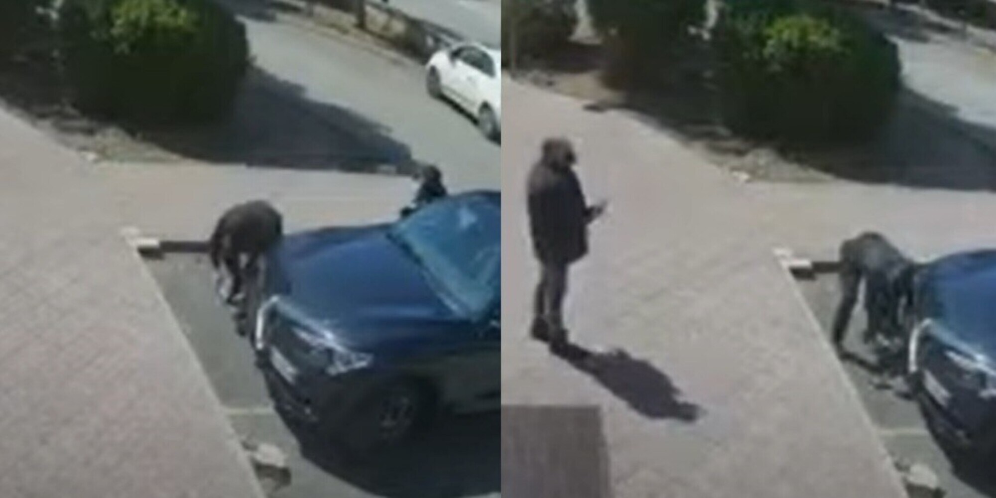 Furto lampo in 90 secondi: rubano l'Alfa Romeo davanti al proprietario VIDEO