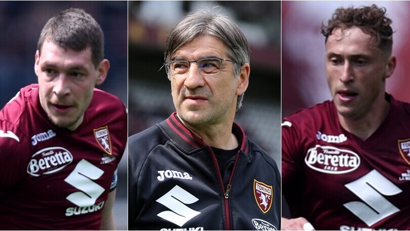 Verona-Torino, la probabile formazione di Juric