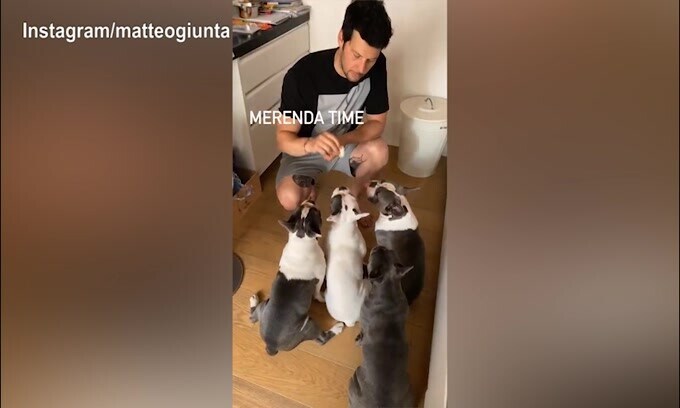 Matteo Giunta, merenda time per i cani!