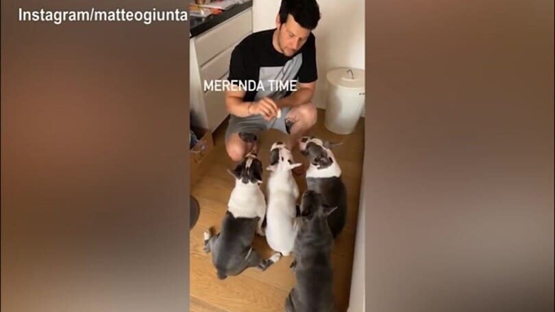Matteo Giunta, merenda time per i cani!