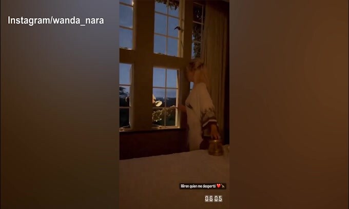 Wanda Nara e Icardi alle prese con la giraffa