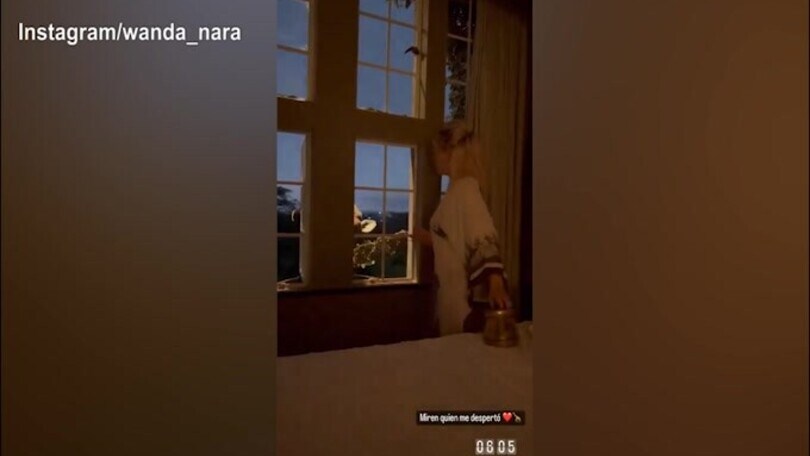 Wanda Nara e Icardi alle prese con la giraffa