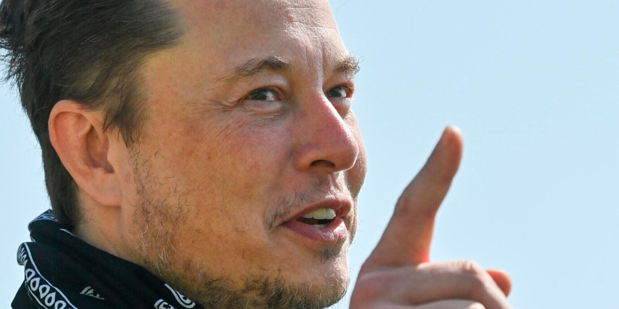 La richiesta di Musk a Twitter: "Fornite i dati su account spam"