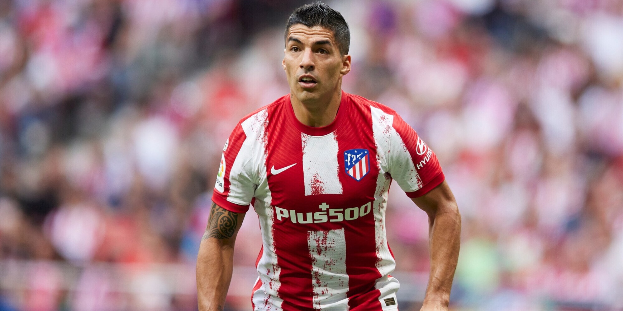 'Olé' a sorpresa: "La Fiorentina sulle tracce di Suarez"