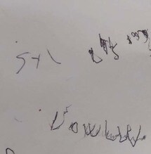 
            
            Messaggio Stefano Tacconi alla moglie Laura, "S+L love"
          