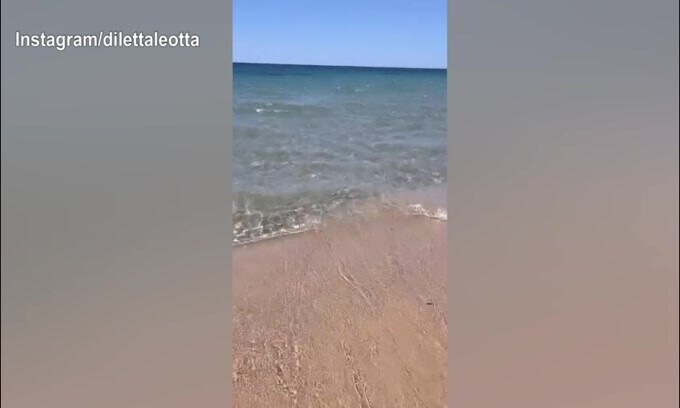 Relax al mare per Diletta ed incontro con...una coccinella
