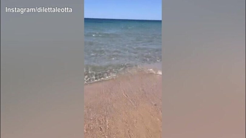 Relax al mare per Diletta ed incontro con...una coccinella