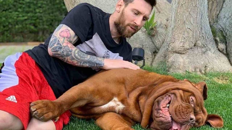 Da Messi a McKennie, quei cani dei calciatori!
