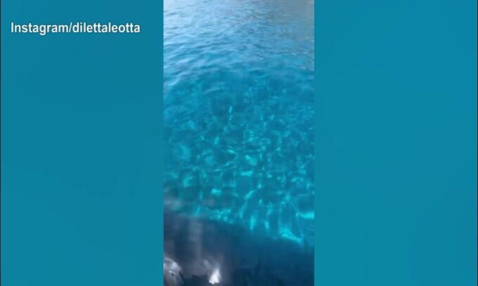 Piedi in acqua e spaghetti alle vongole, ecco la giornata di Diletta