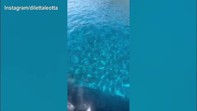 Piedi in acqua e spaghetti alle vongole, ecco la giornata di Diletta