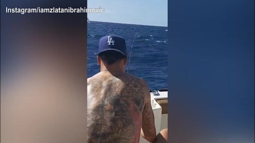 Ibra, che fai? Eccolo pescare...