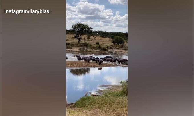 Ilary Blasi, continua il Safari in Africa