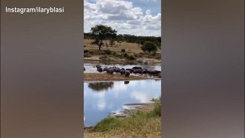 Ilary Blasi, continua il Safari in Africa
