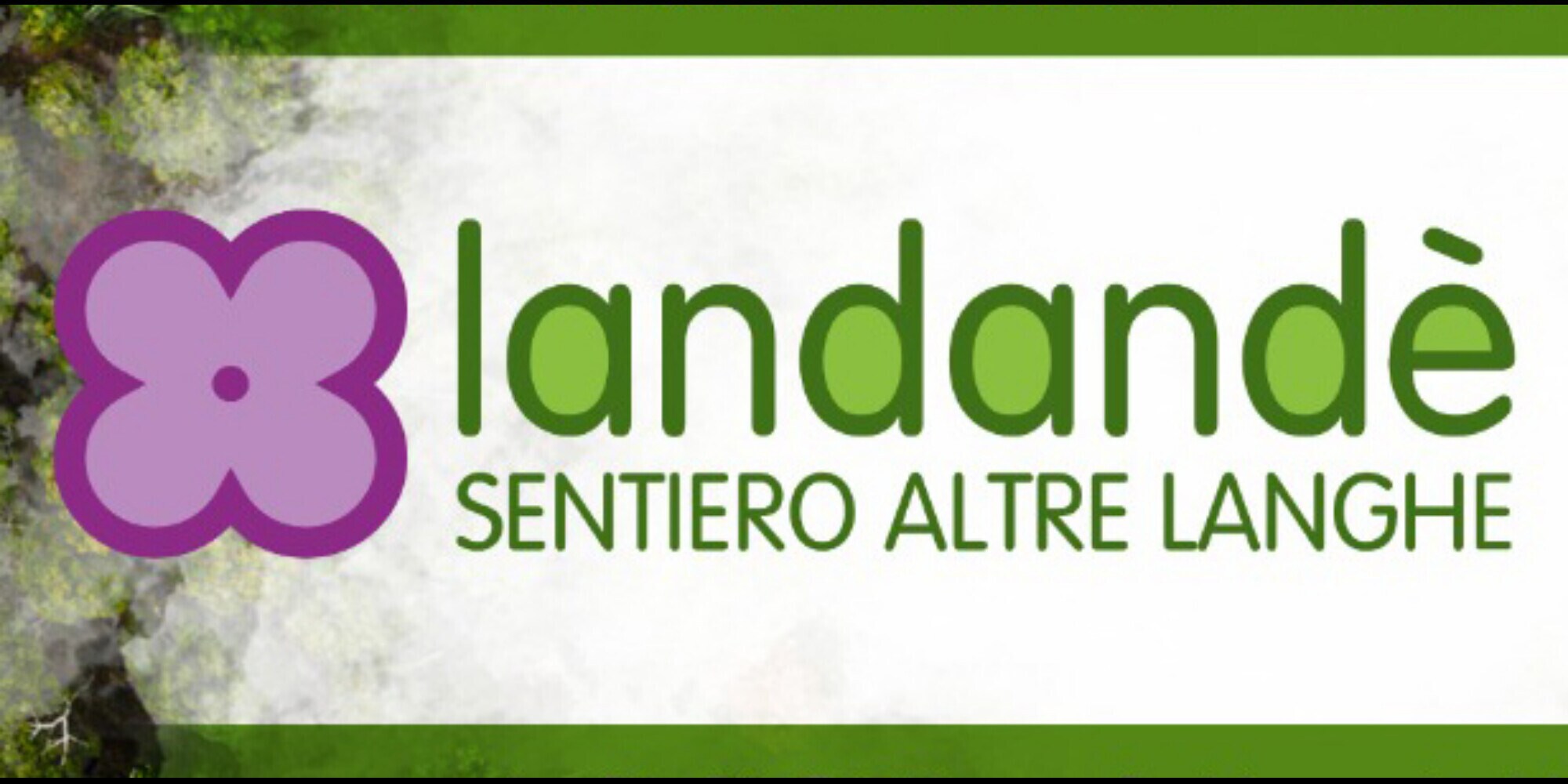 Landandè: il petalo giallo arriva a Viola